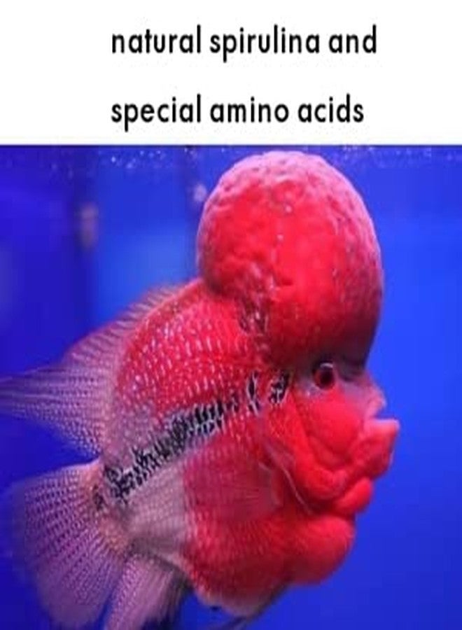 VAYINATO Horizone Royal Flowerhorn Daily Nutrition Fish Food, 100G - All Life Stages, Pellet - Image 4